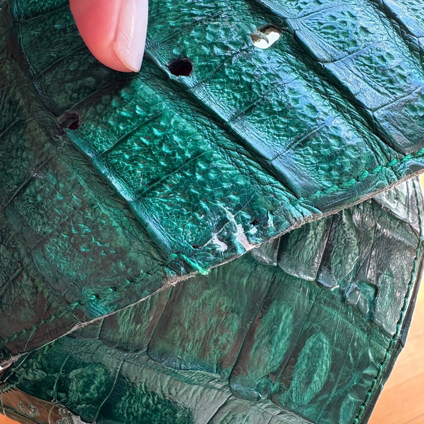 Cinturone croco verde