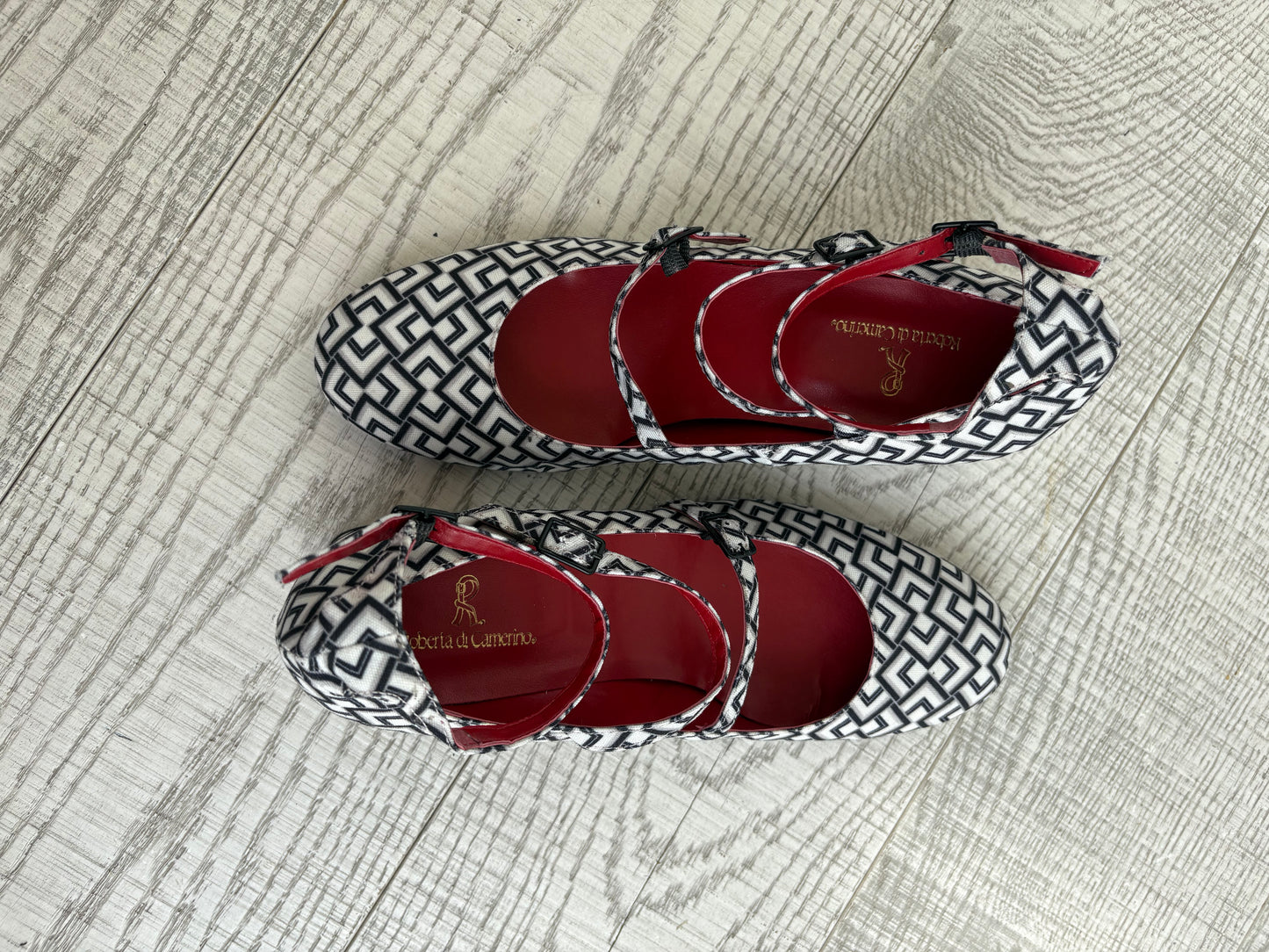 Roberta di Camerino optical shoes