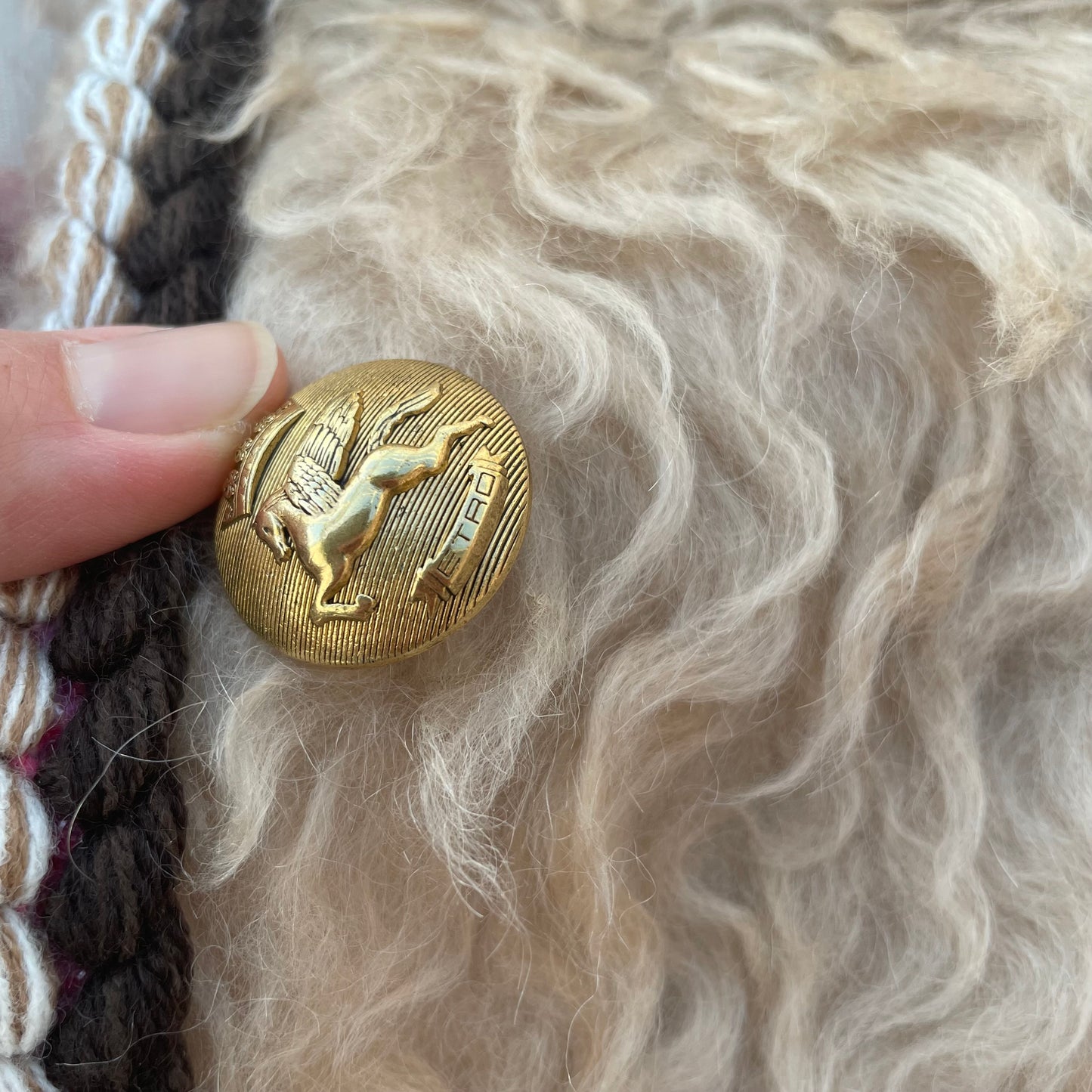 Veste en peau lainée Etro