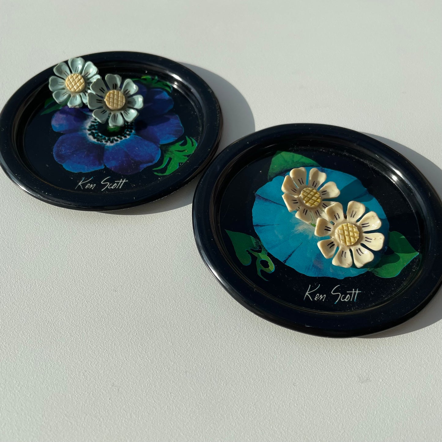 Margherite azzurre