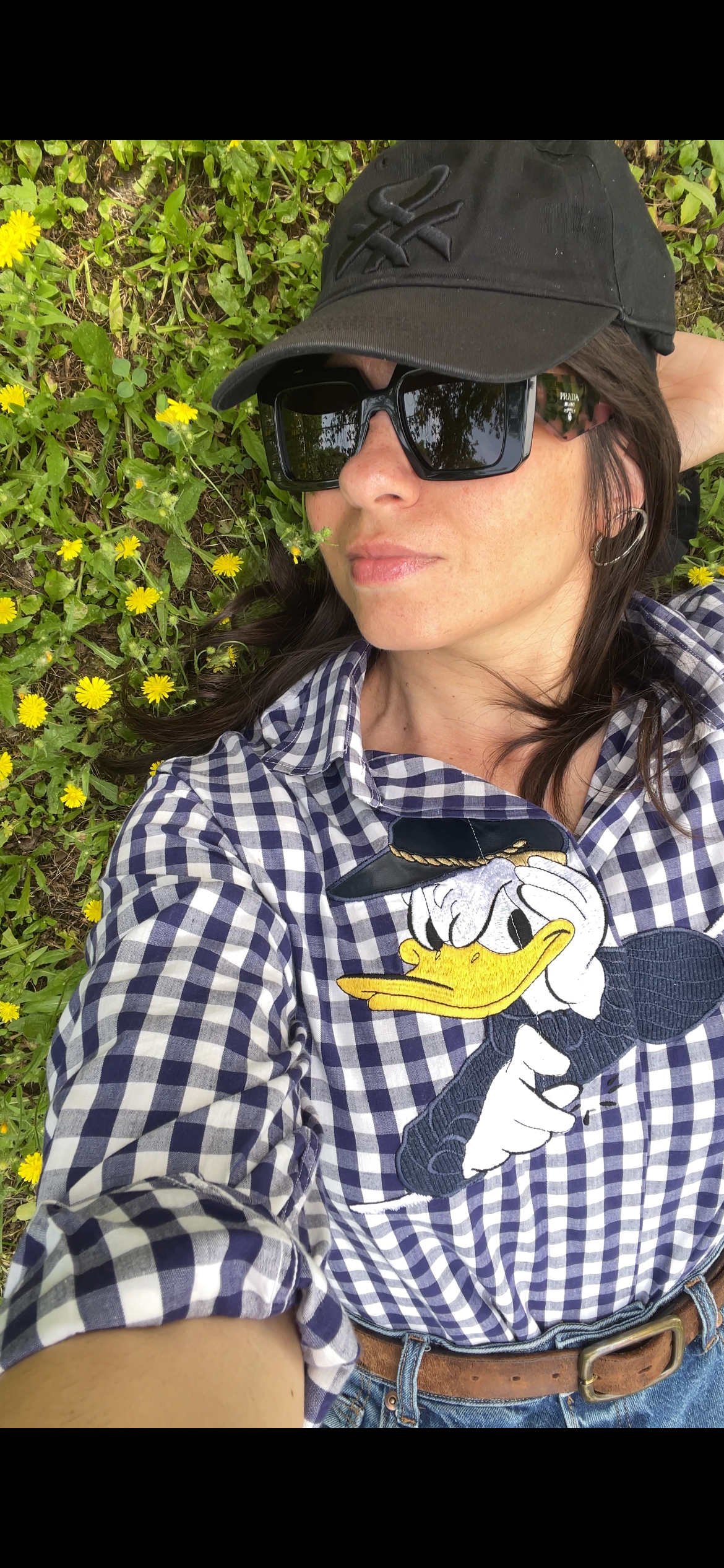 Schvili Donald Duck