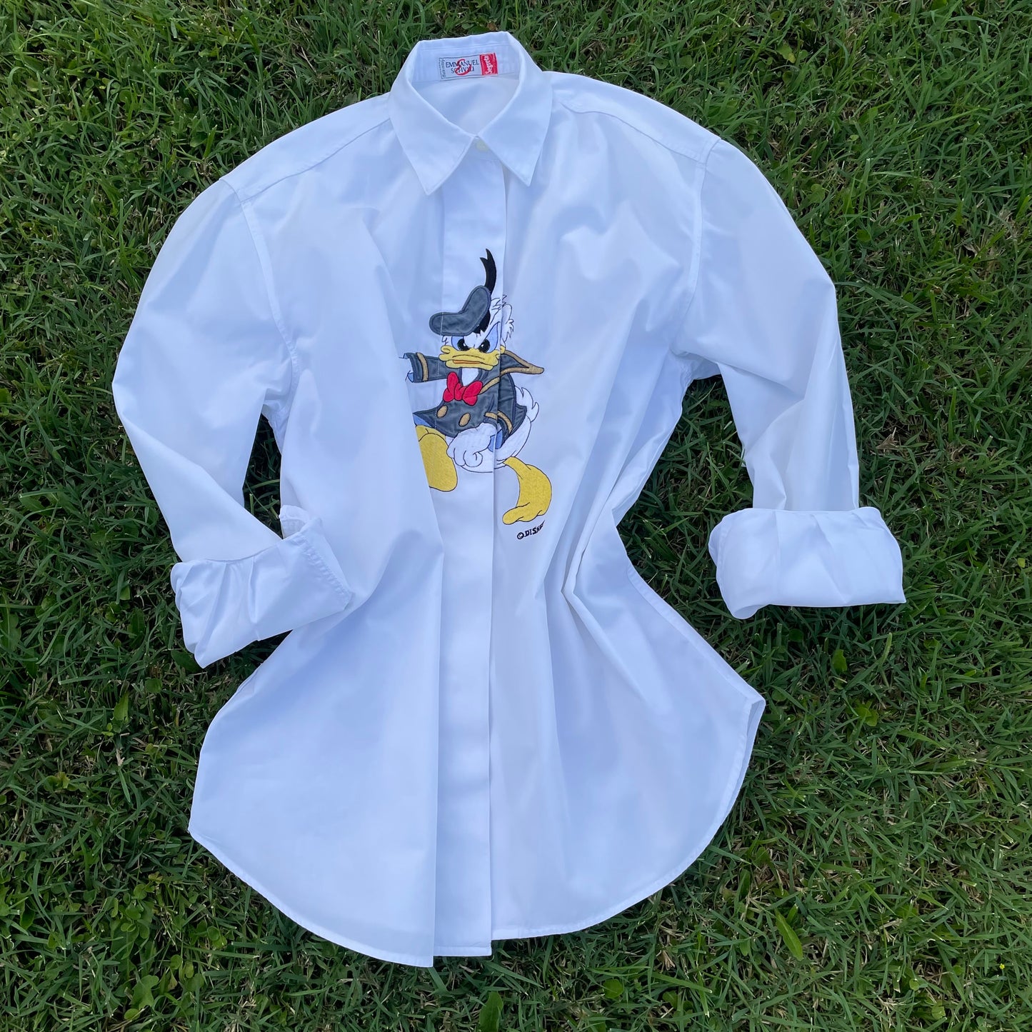 Donald Duck sur Schvili