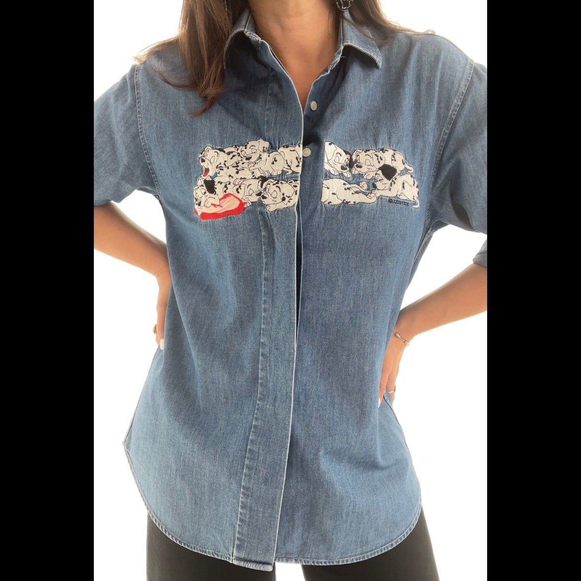 Dalmatien en jeans