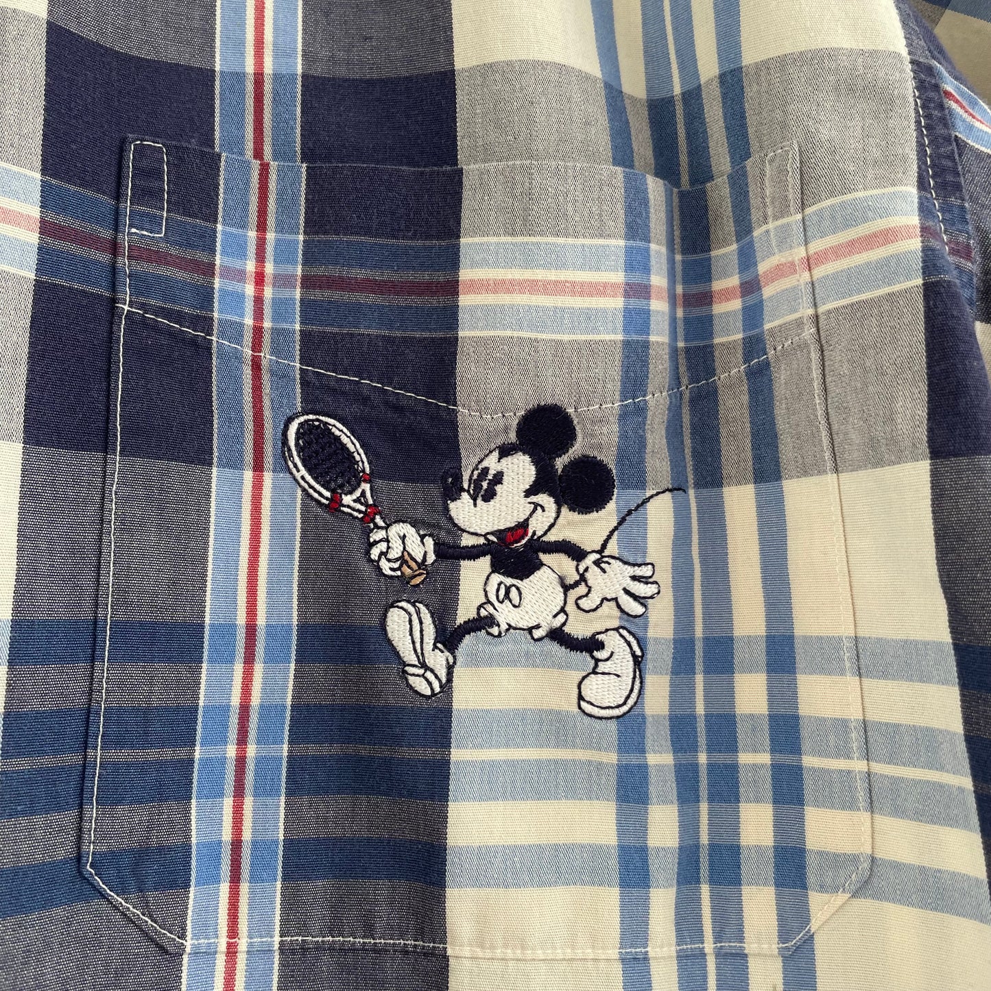 Topolino Donaldson