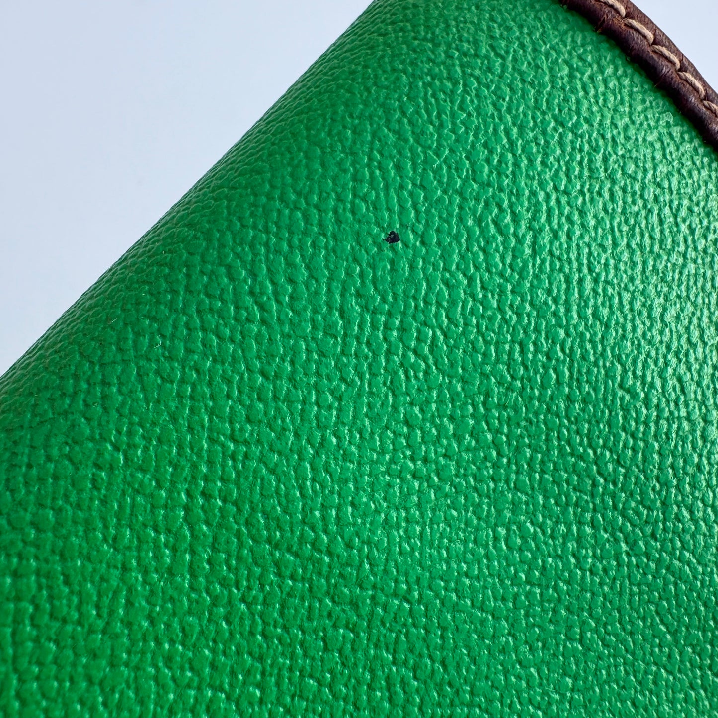 Trussardi maxi busta verde