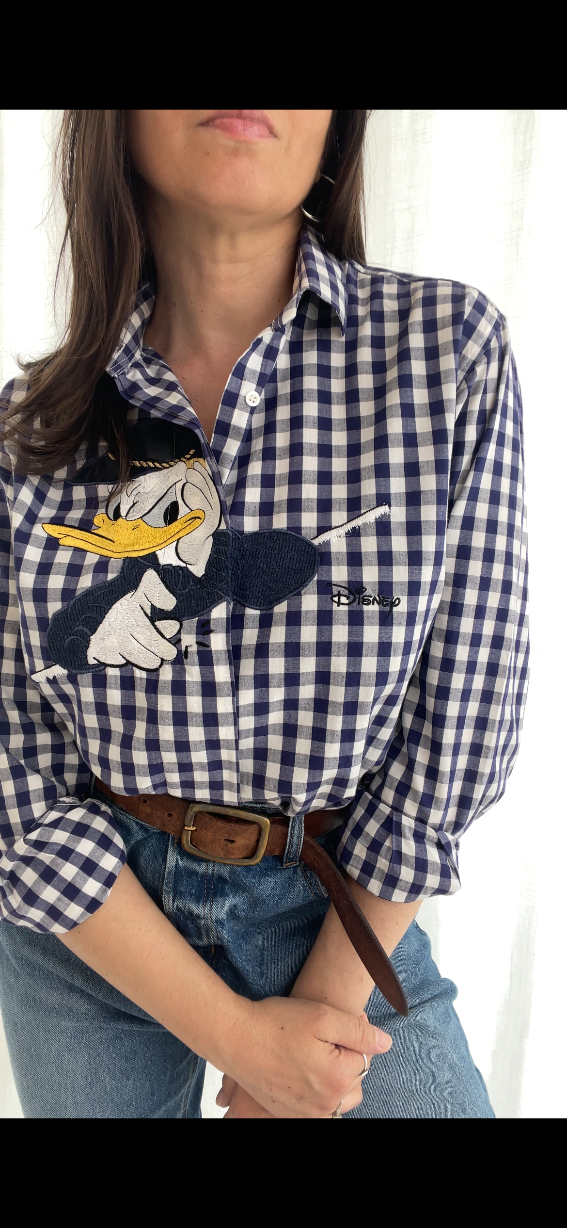 Schvili Donald Duck