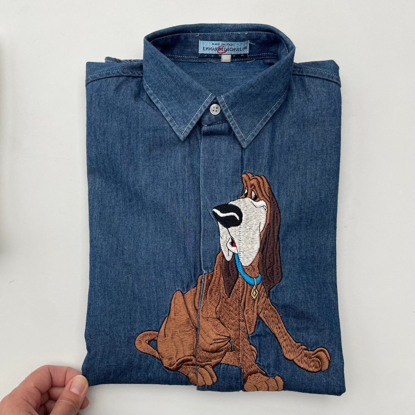 Fido for schvili