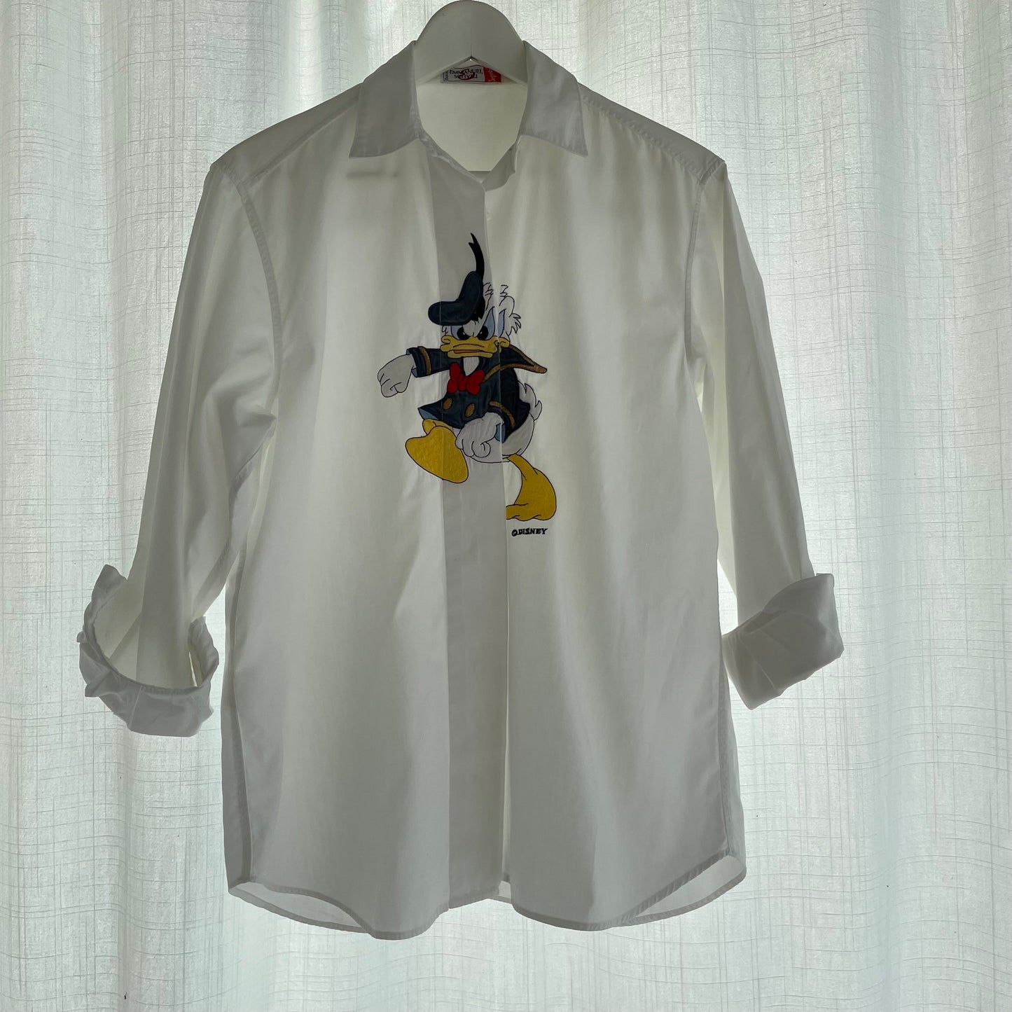 Donald Duck sur Schvili