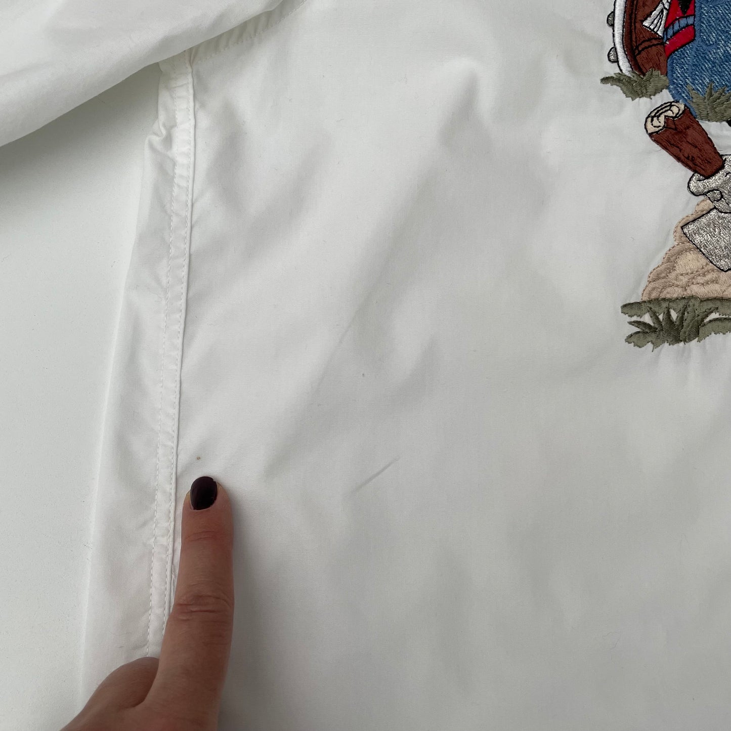 Paperino cercatore