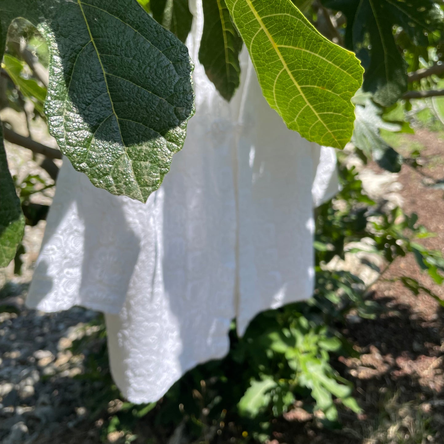 Giacchino macrame’