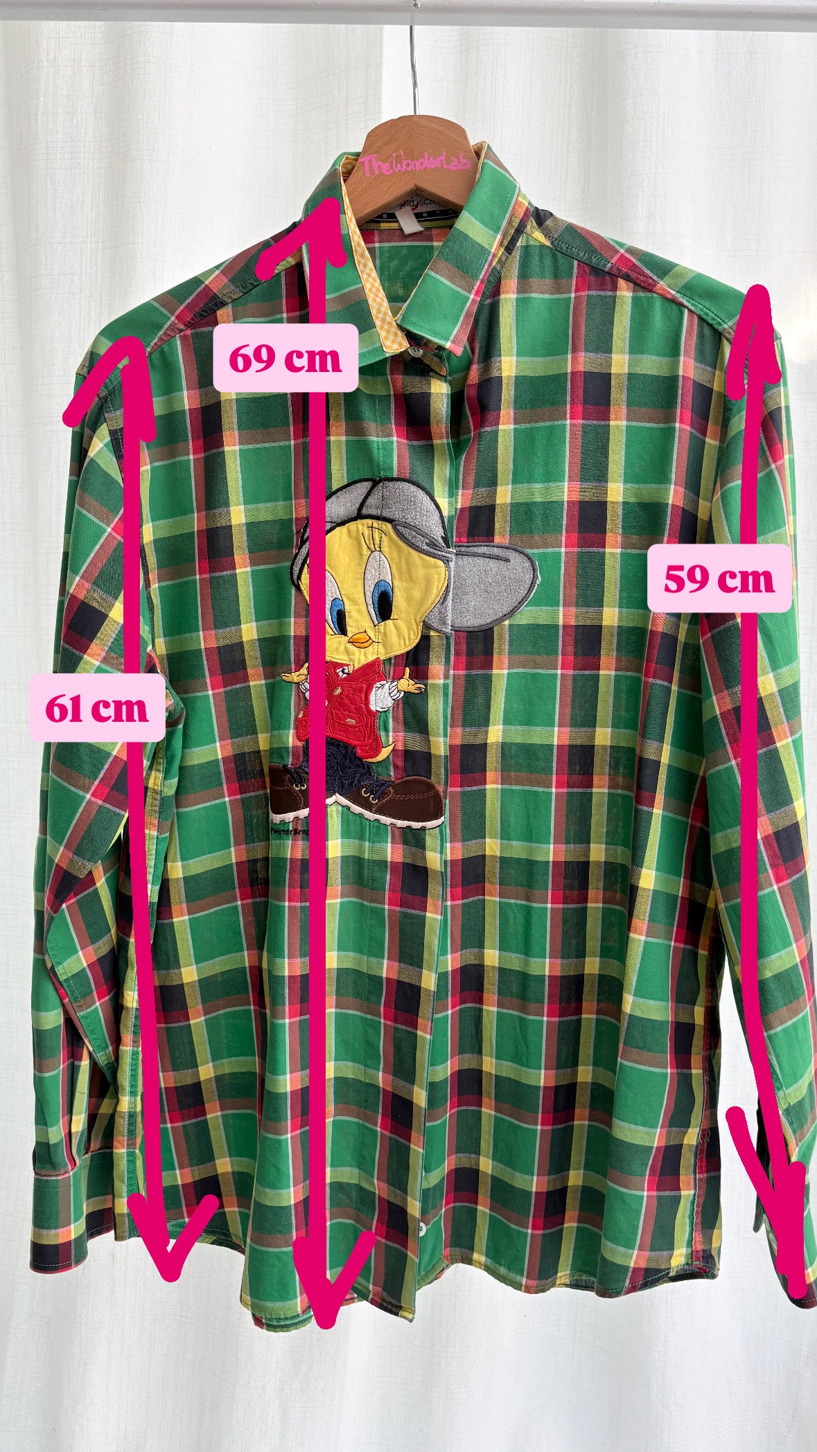 Camicia Schvili scozzese verde