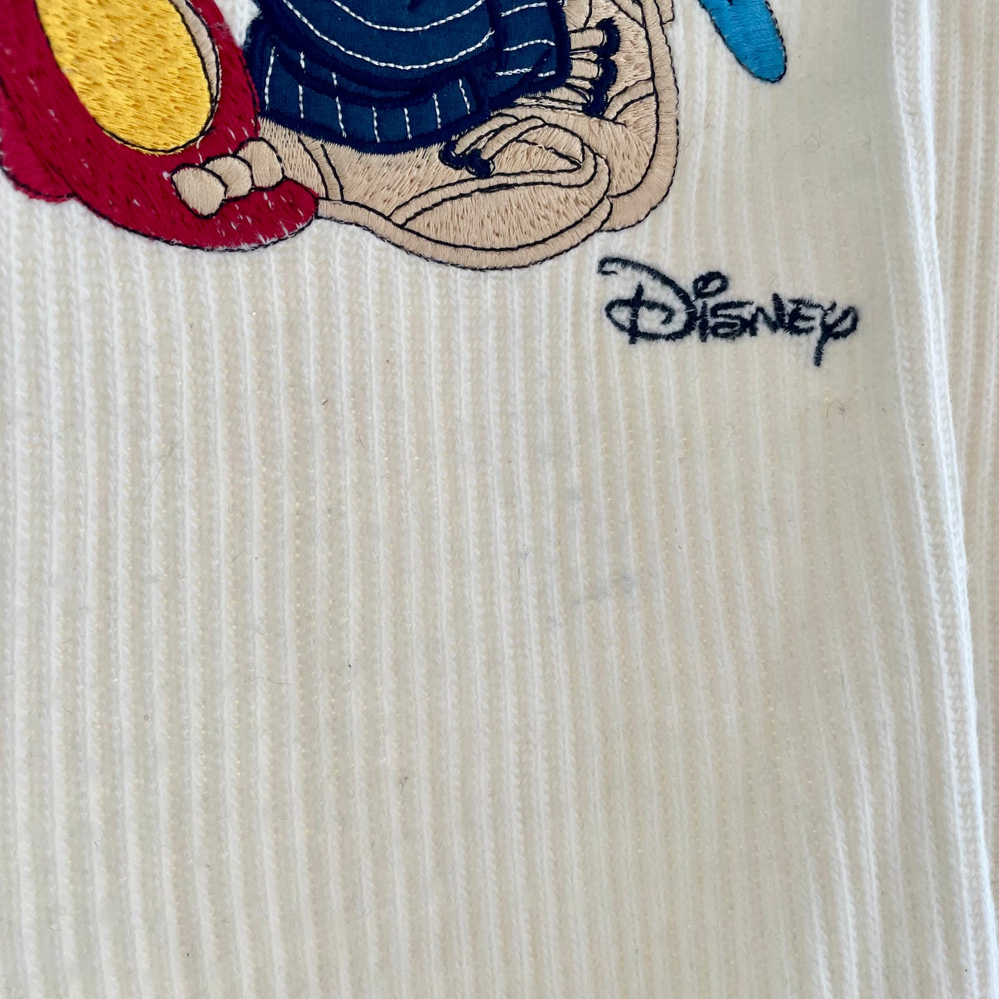 Daisy Duck and Donald Duck great evening