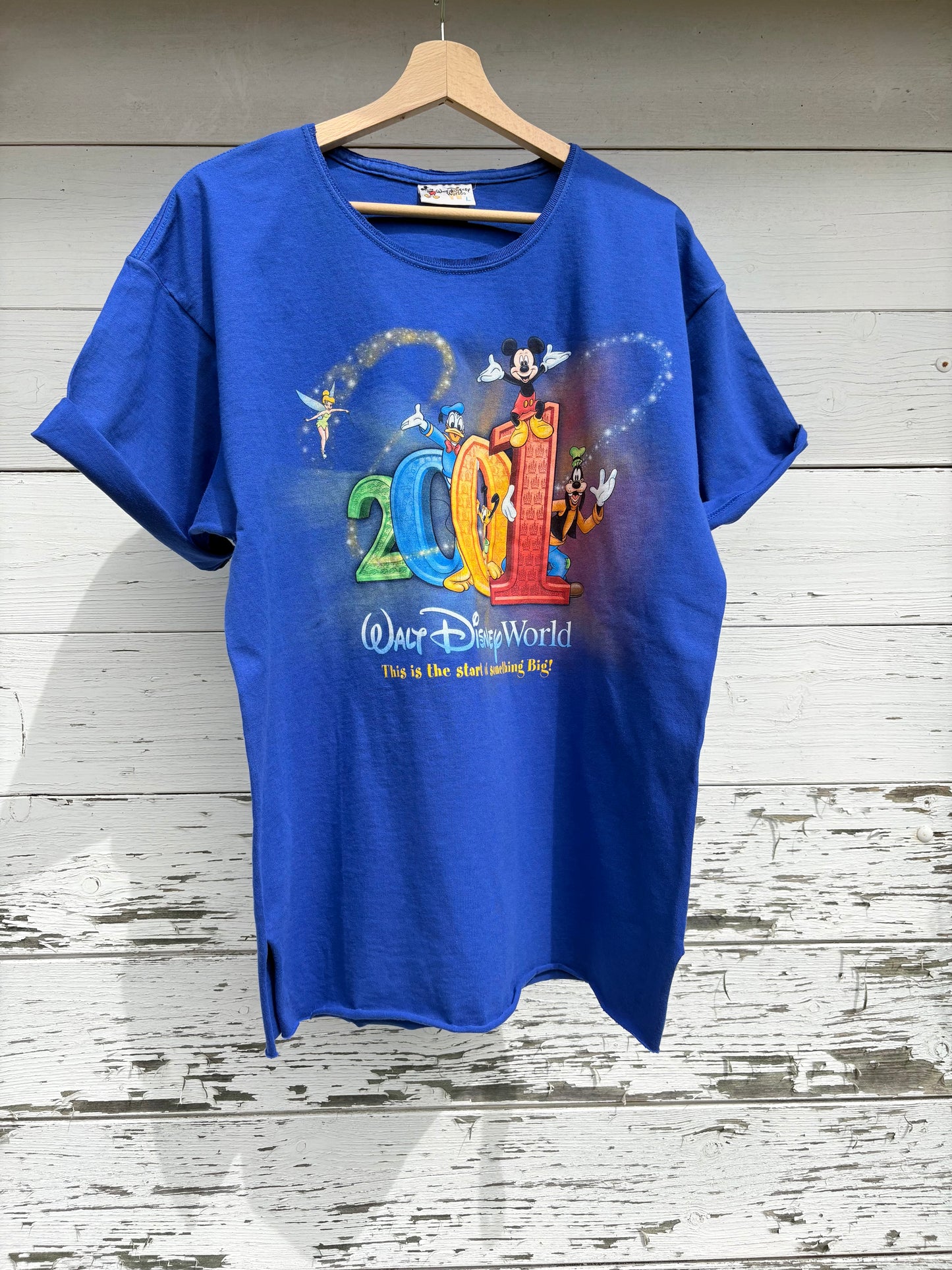 Ts Disneyworld 2001
