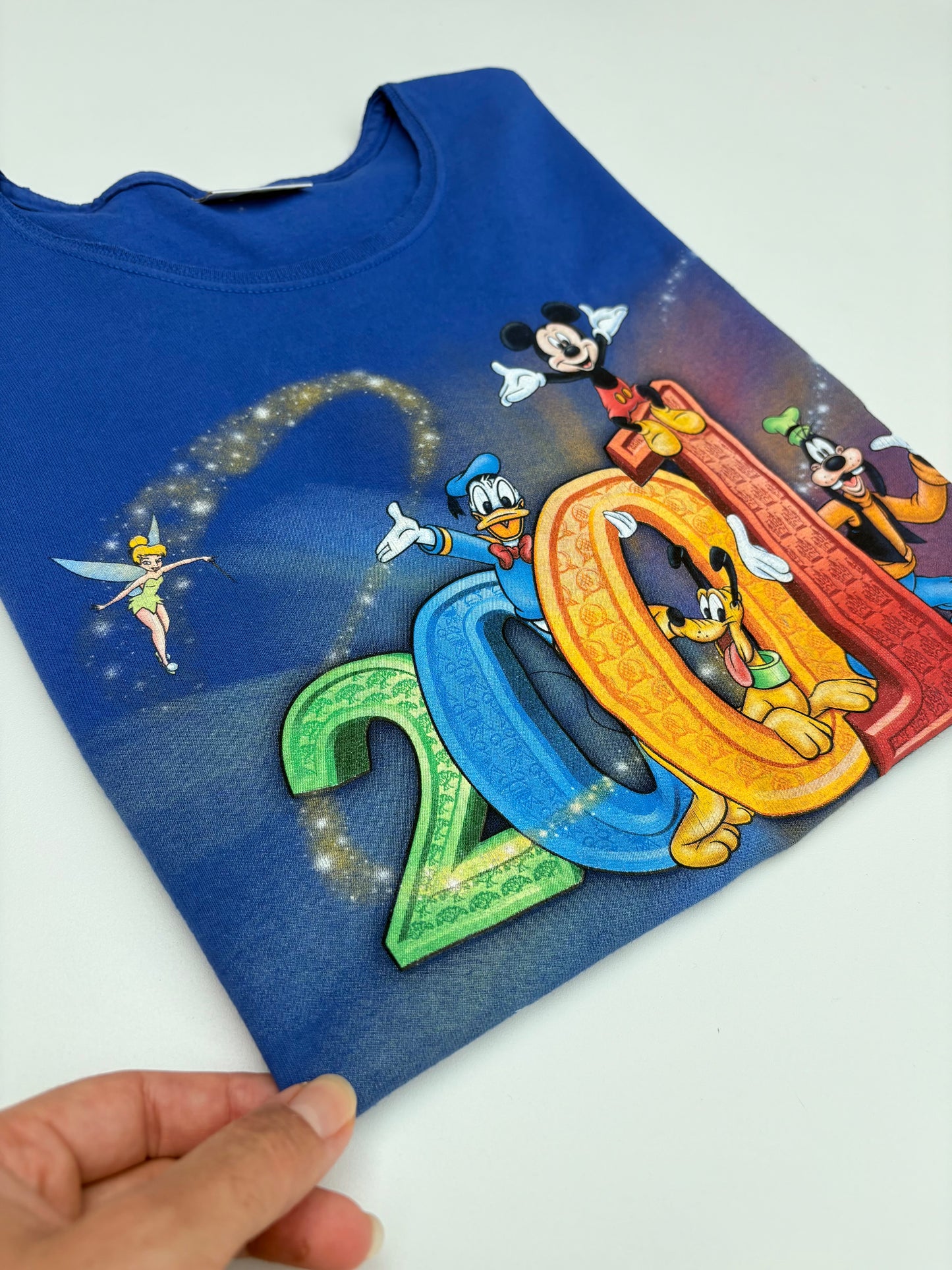 Ts Disneyworld 2001