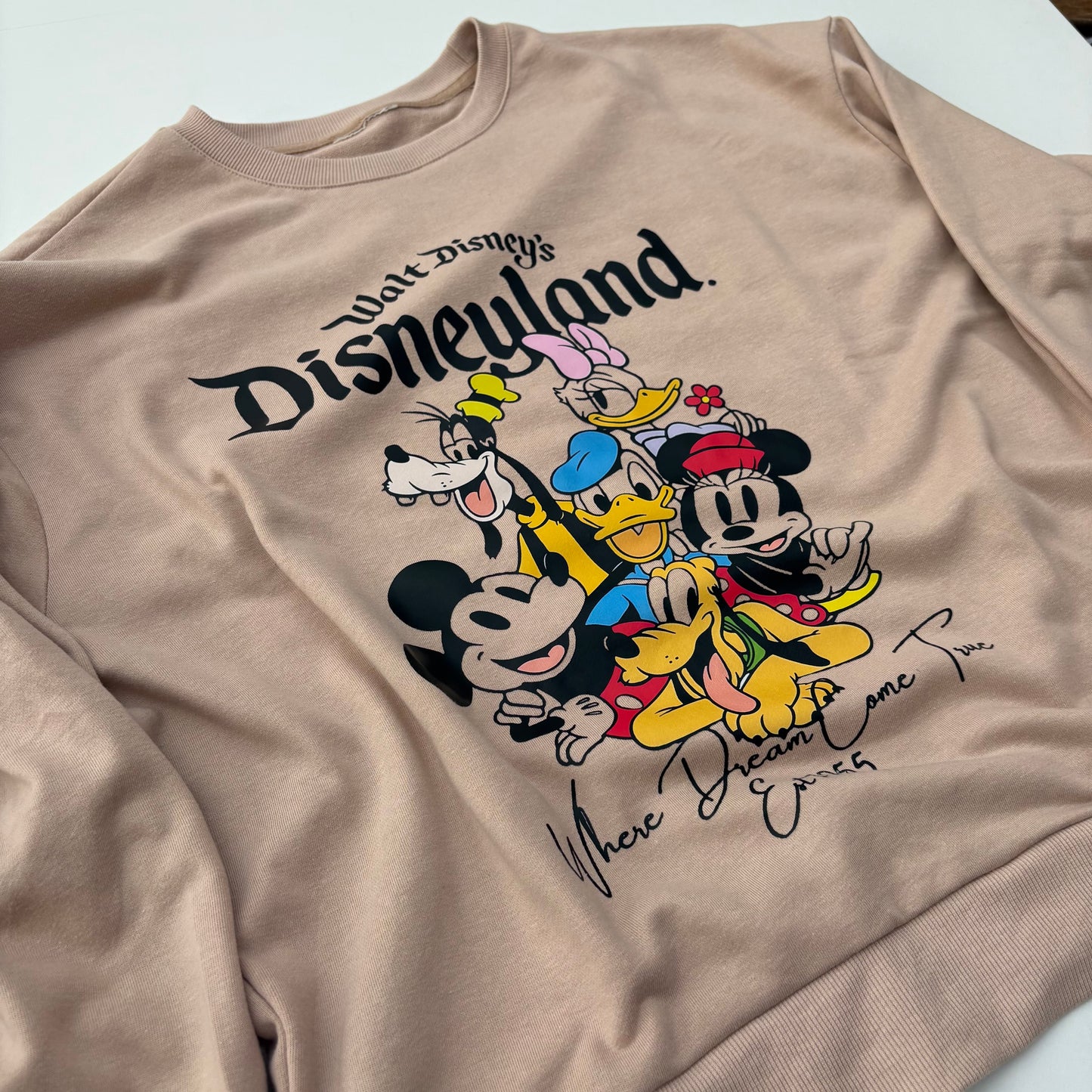 Felpa Disneyland caffellatte