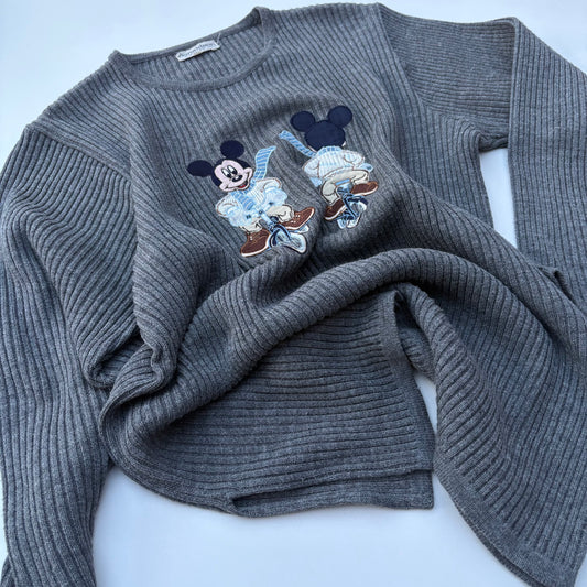 Donaldson grigio a coste con Topolino per due