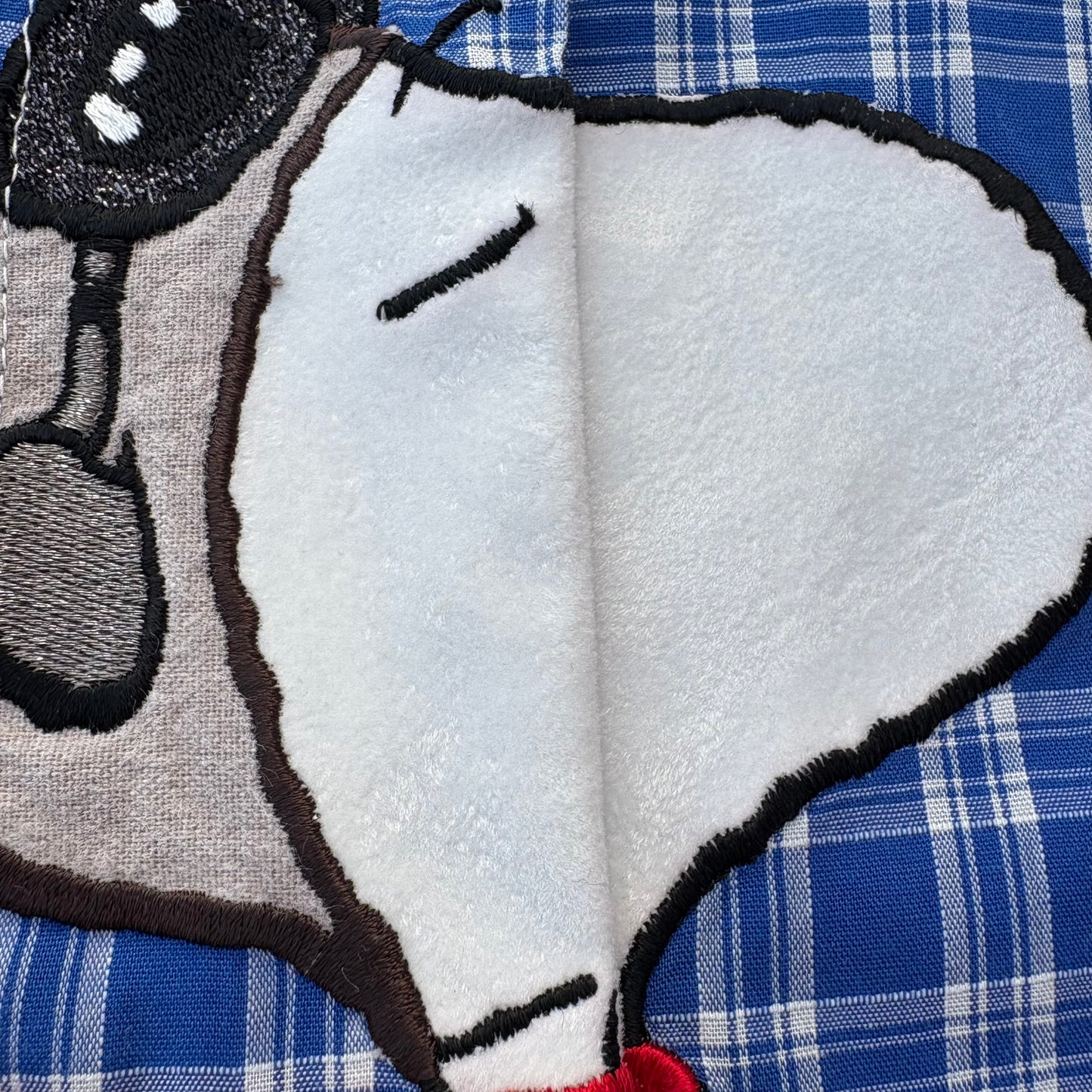 Snoopy a quadretti