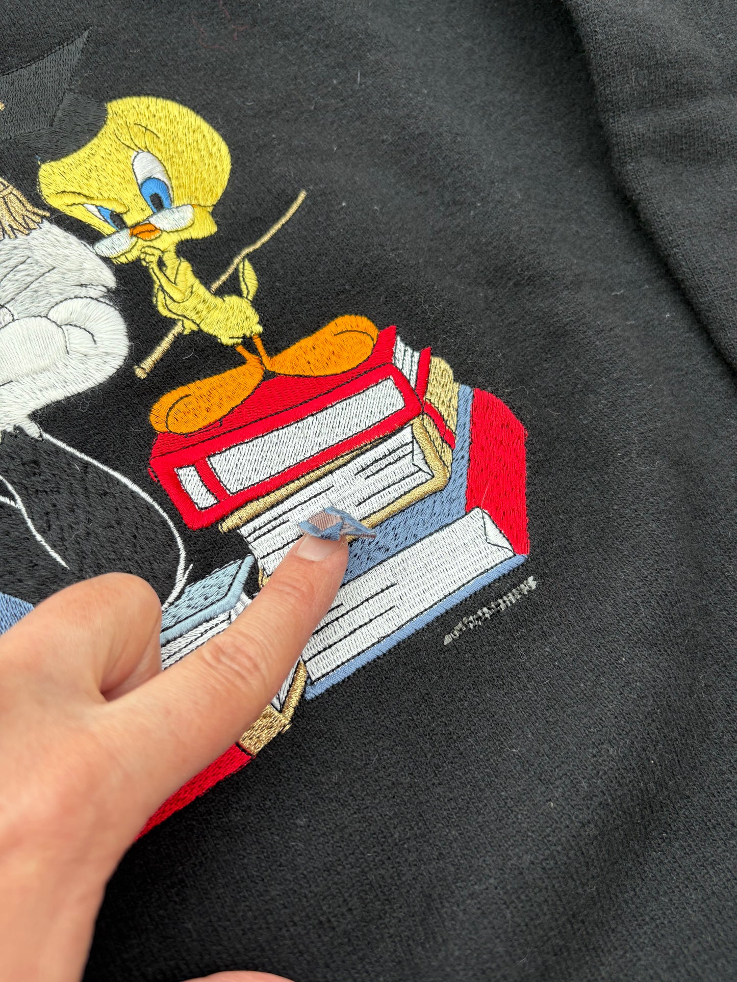 Felpa Titti e Silvestro