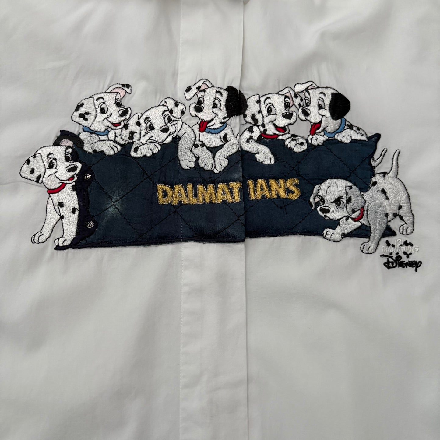 Dalmata su coperta