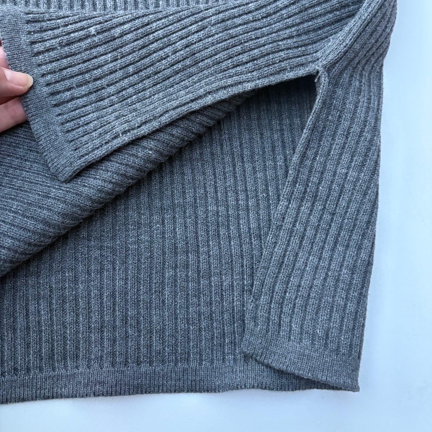 Donaldson grigio a coste con Topolino per due