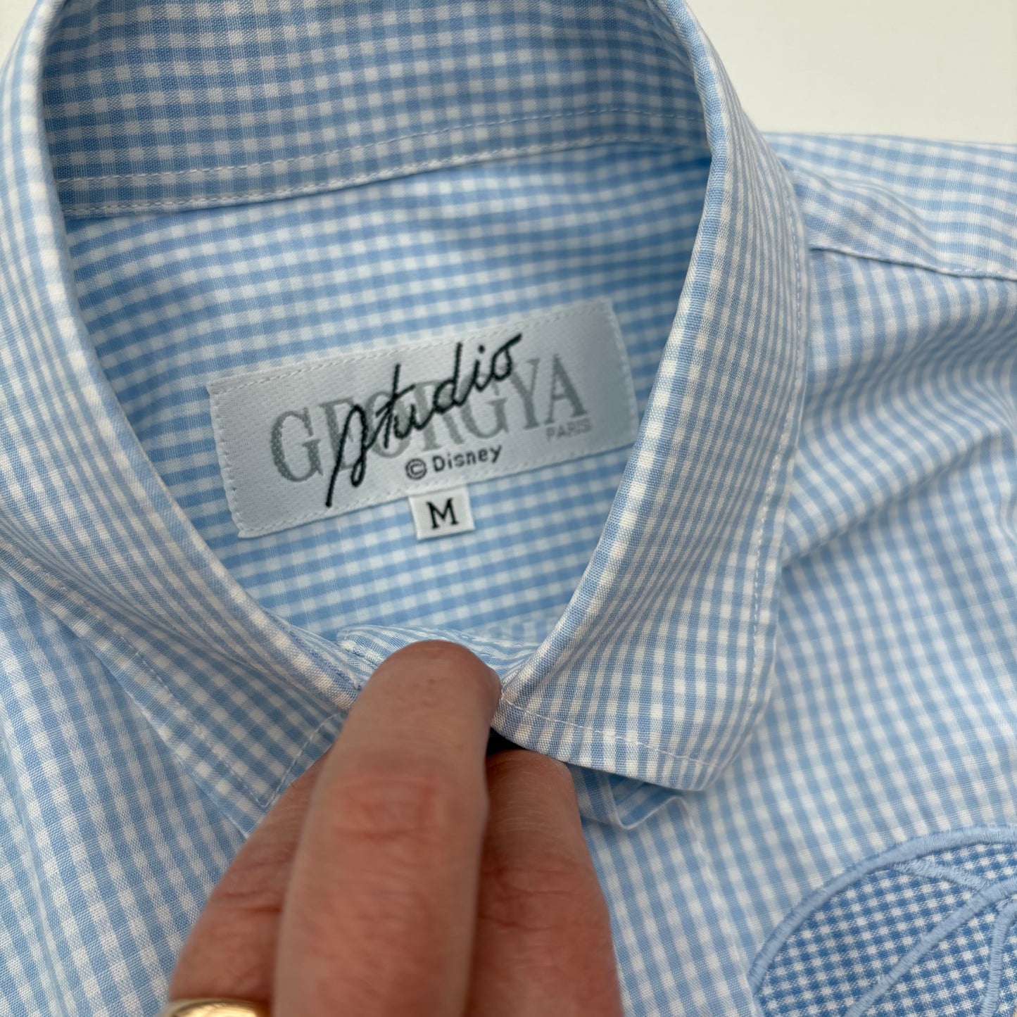 Paperina e Paperino in vacanza