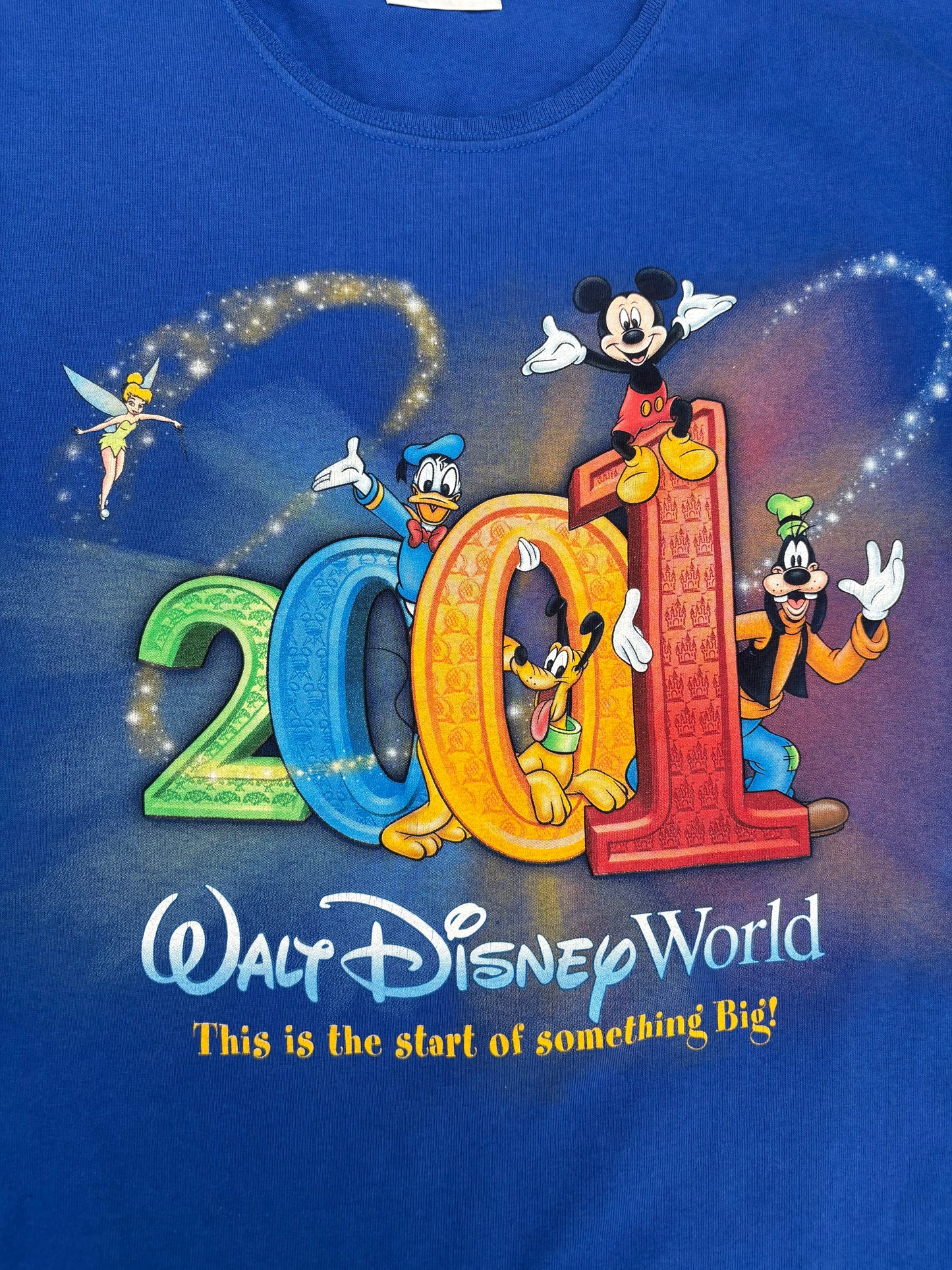 Ts Disneyworld 2001