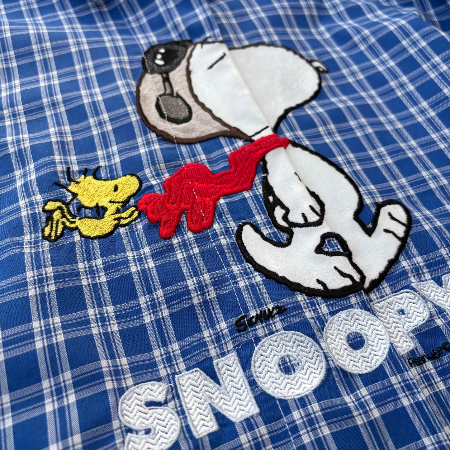 Snoopy a quadretti