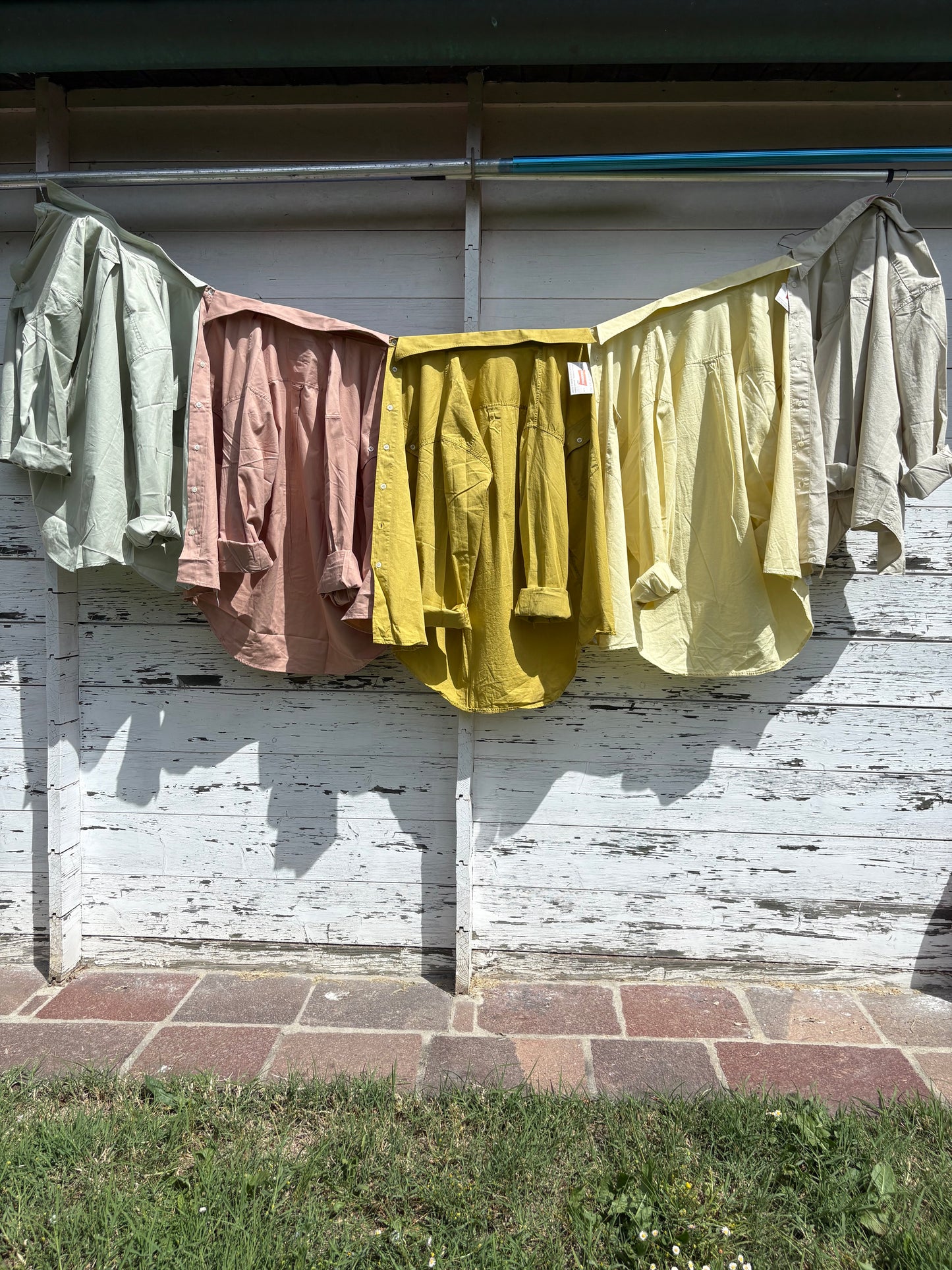 Carrera shirt verde pistacchio