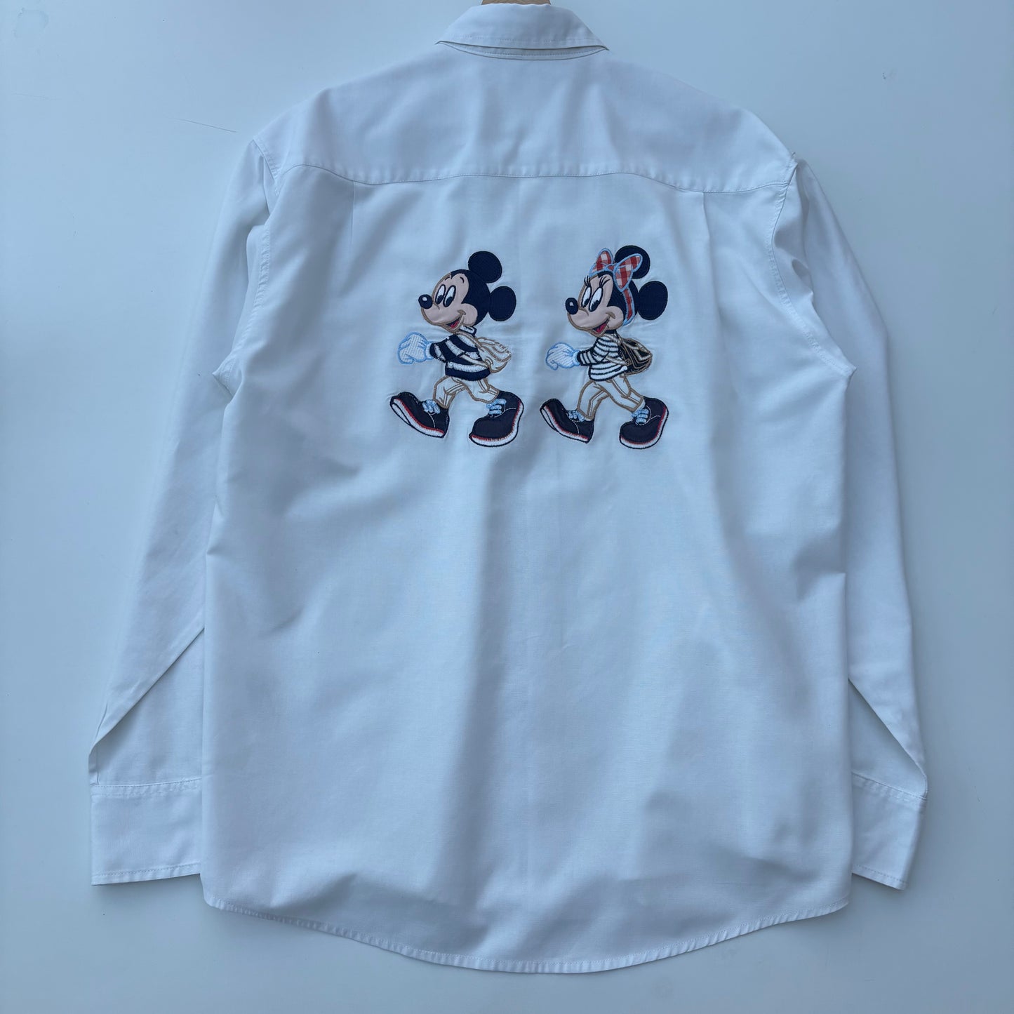 Donaldson Minnie e Topolino