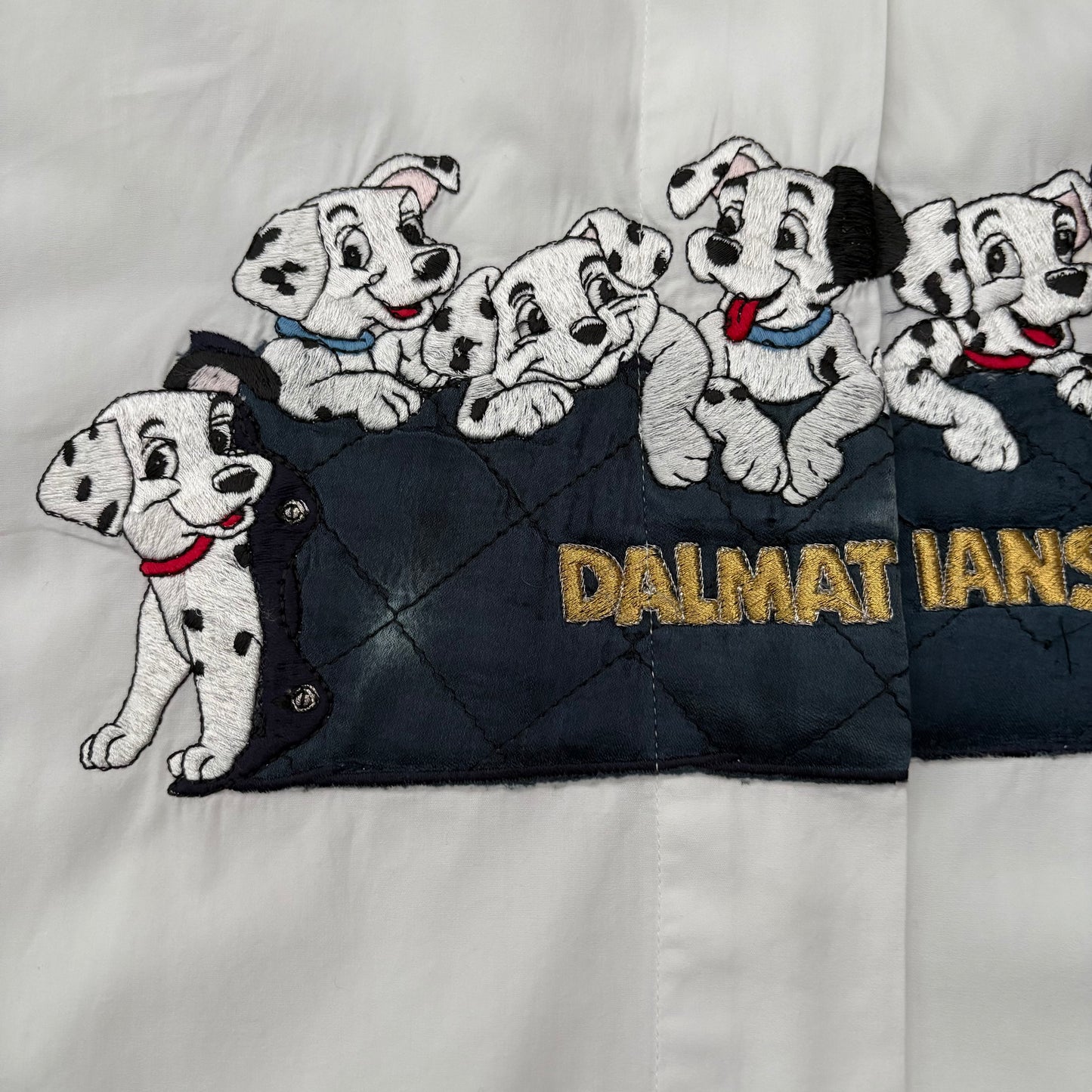 Dalmata su coperta