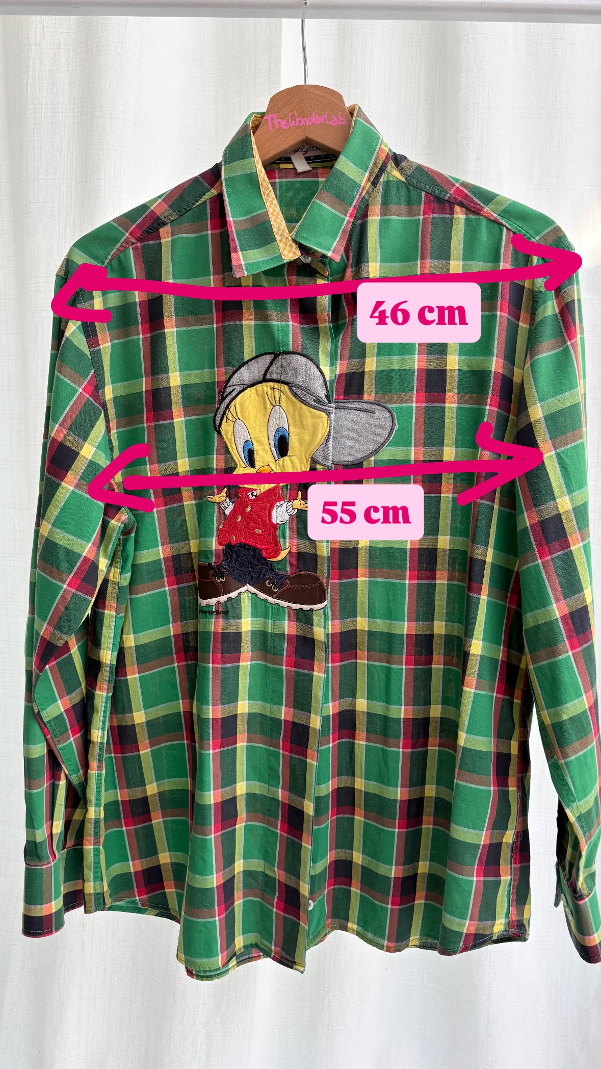 Camicia Schvili scozzese verde
