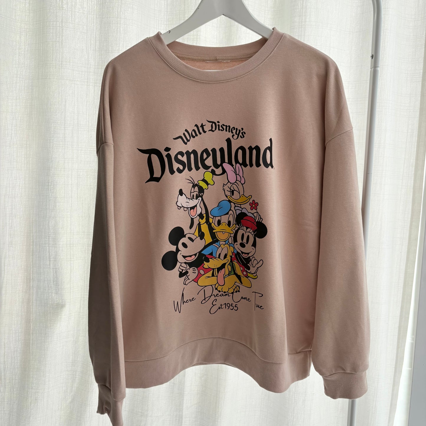 Felpa Disneyland caffellatte