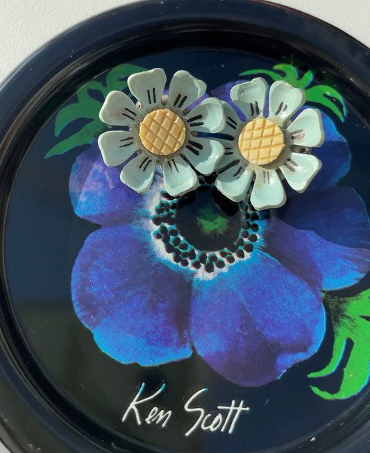 Marguerites bleues