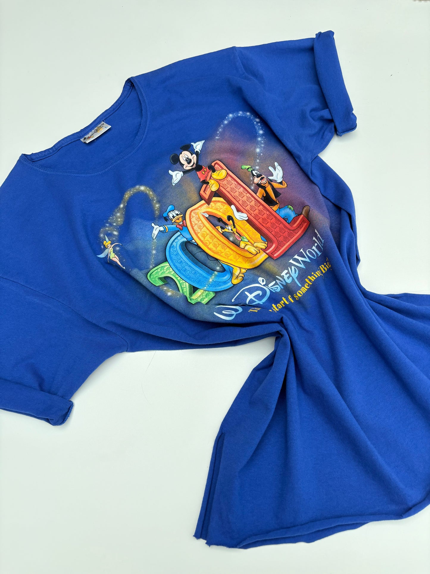 Ts Disneyworld 2001