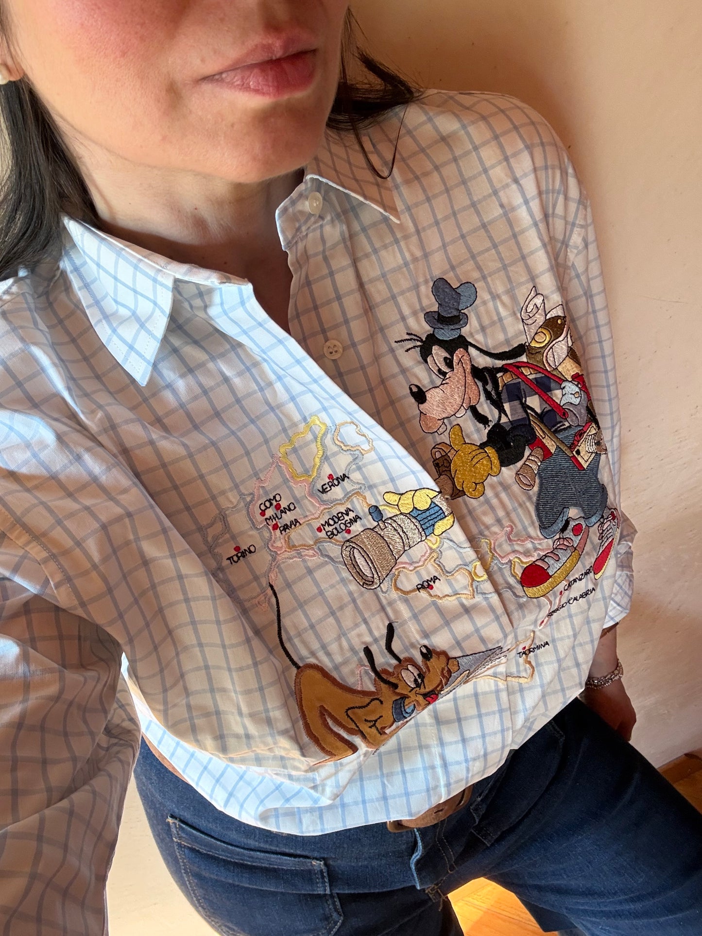 Pippo viaggio in Italia