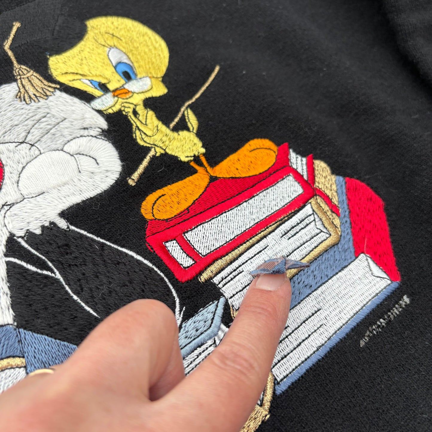 Felpa Titti e Silvestro