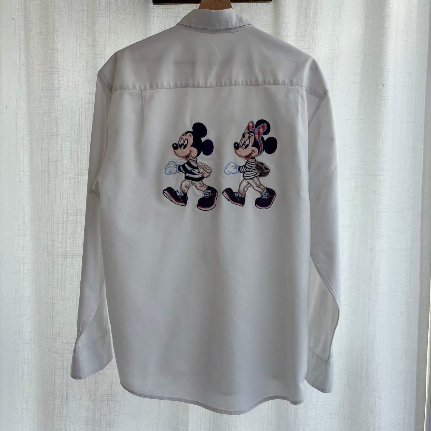 Donaldson Minnie e Topolino