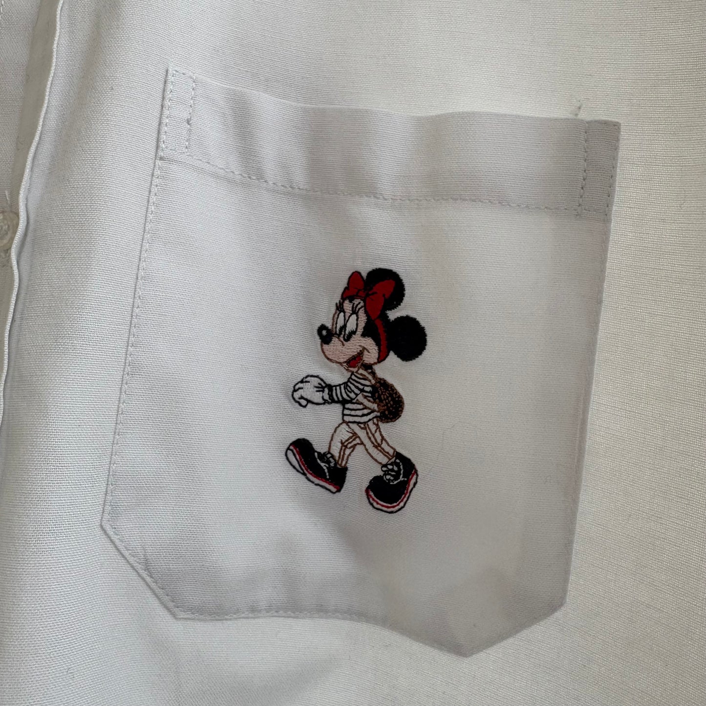 Donaldson Minnie e Topolino