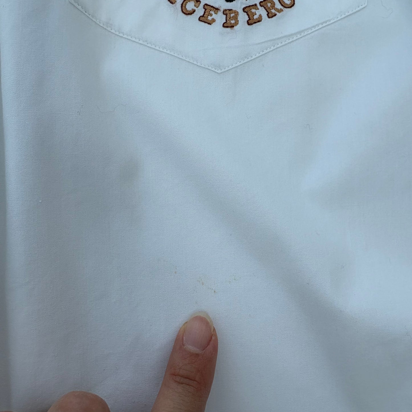 Pluto Iceberg shirt