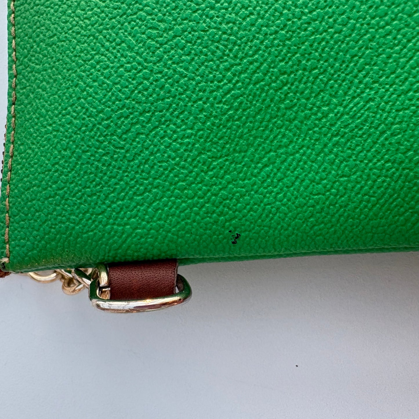 Tracollina verde Trussardi