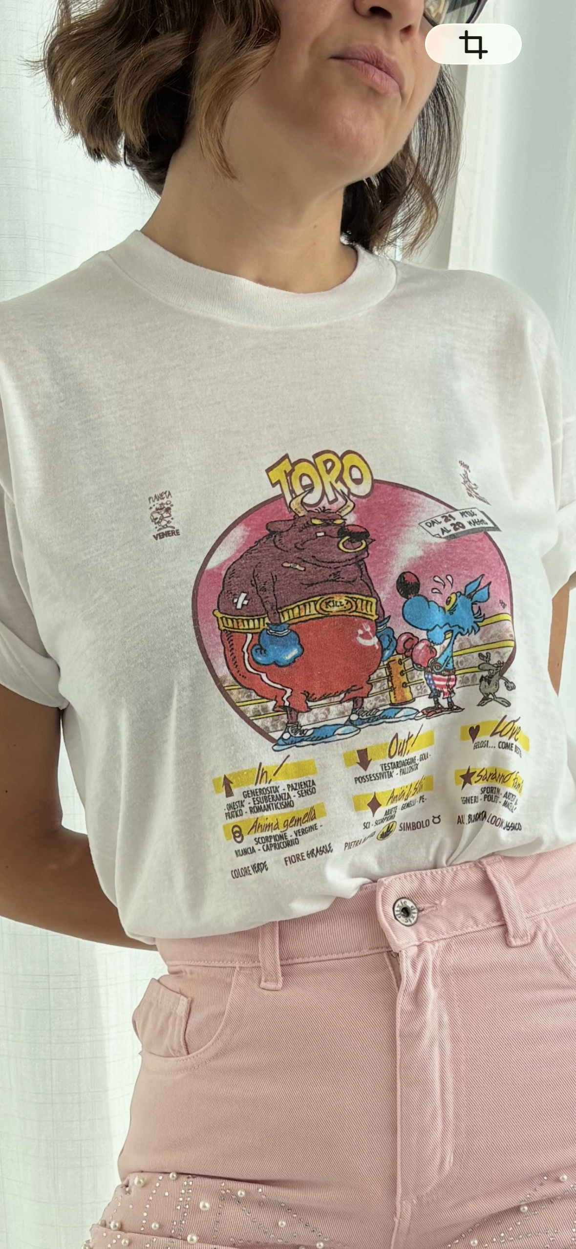 Toro ts By Lupo Alberto