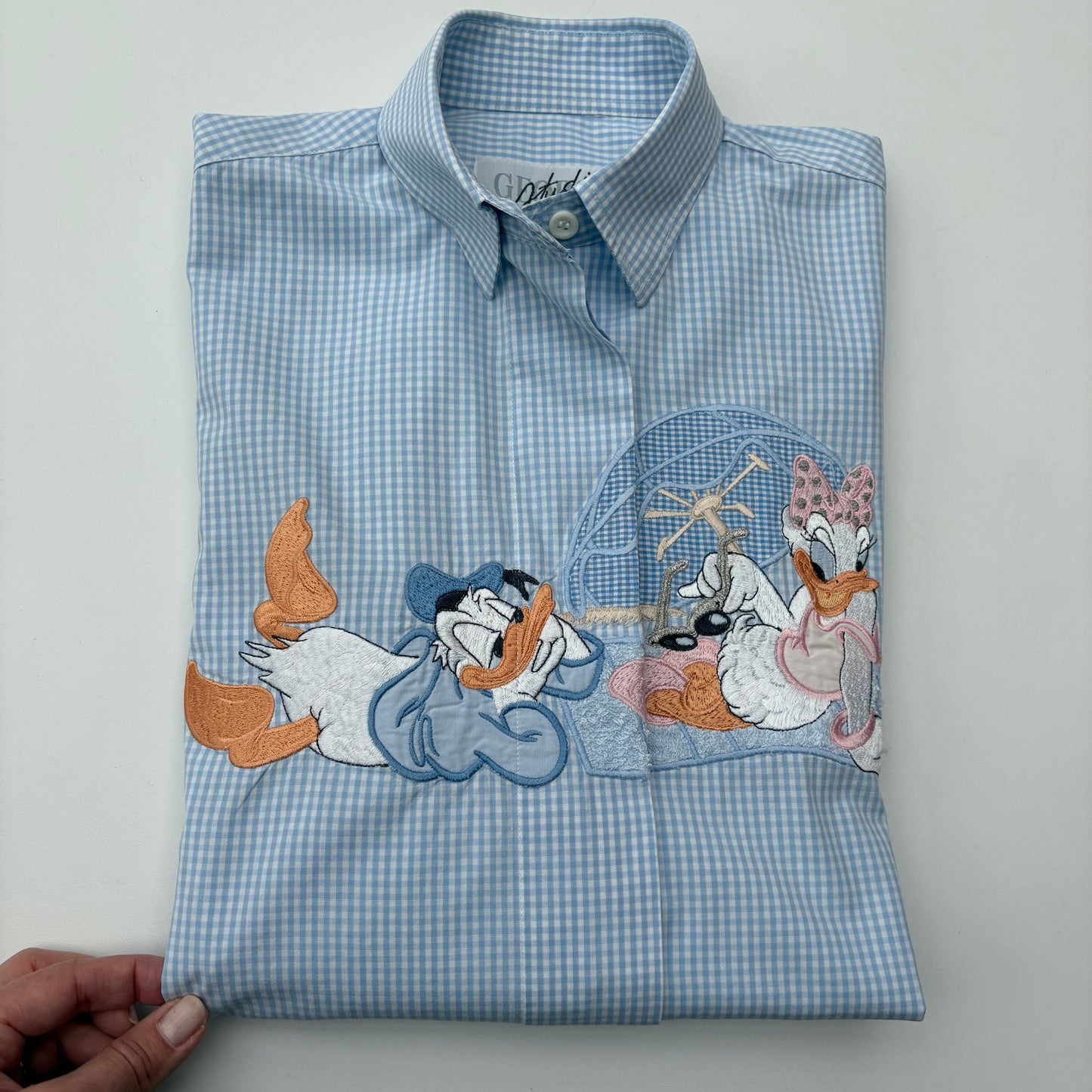 Paperina e Paperino in vacanza