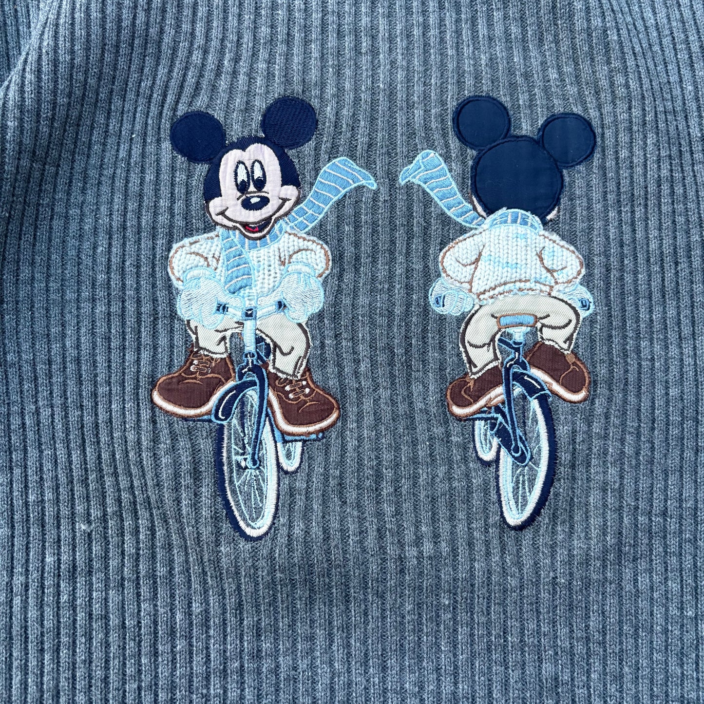 Donaldson grigio a coste con Topolino per due