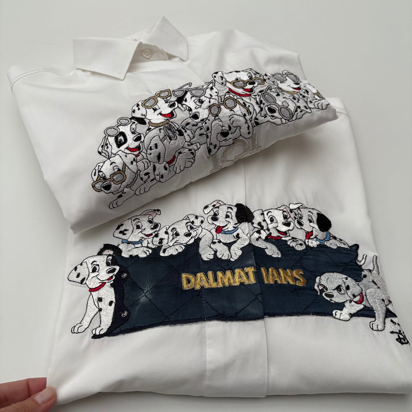 Dalmata su coperta