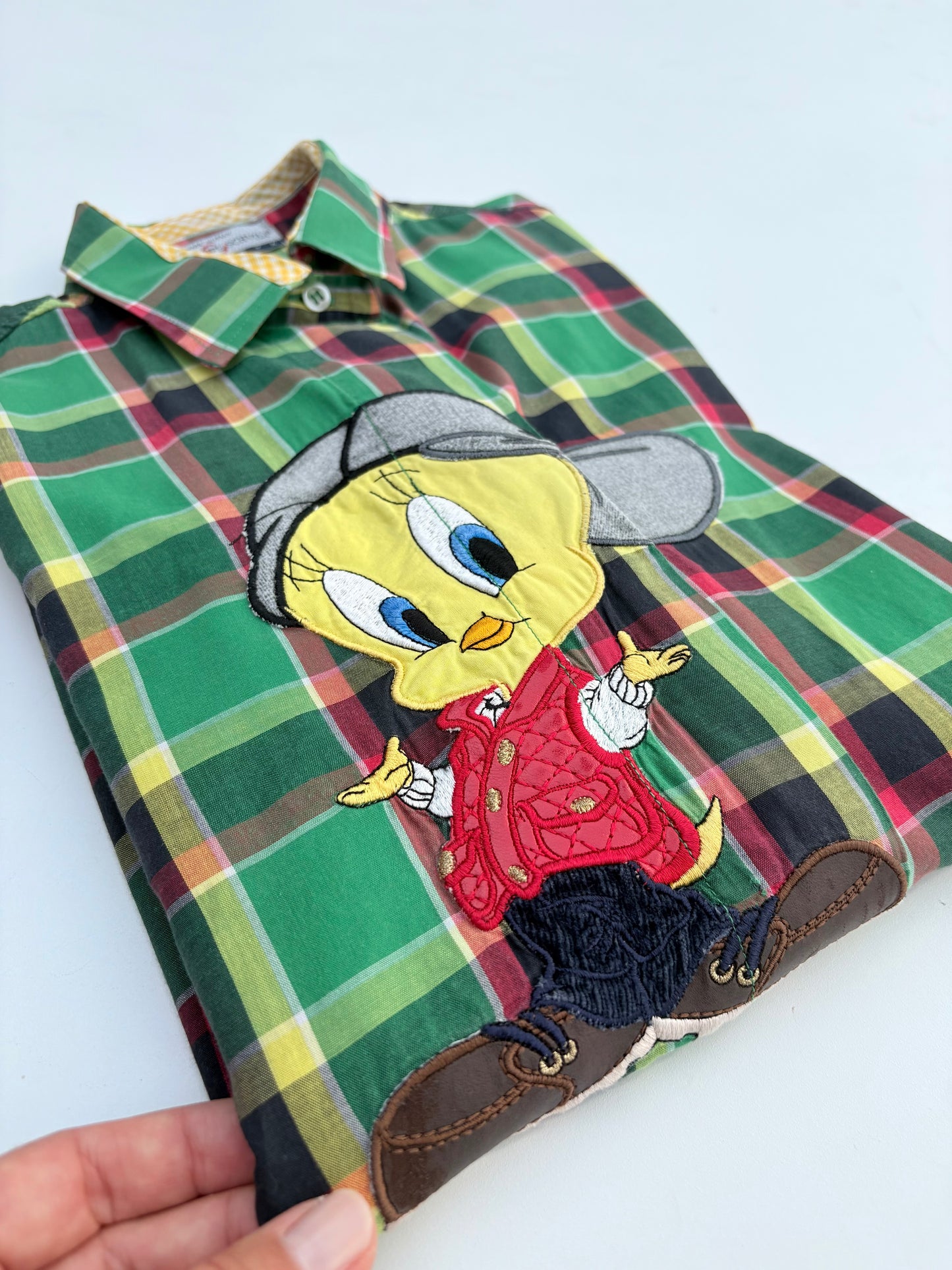 Camicia Schvili scozzese verde