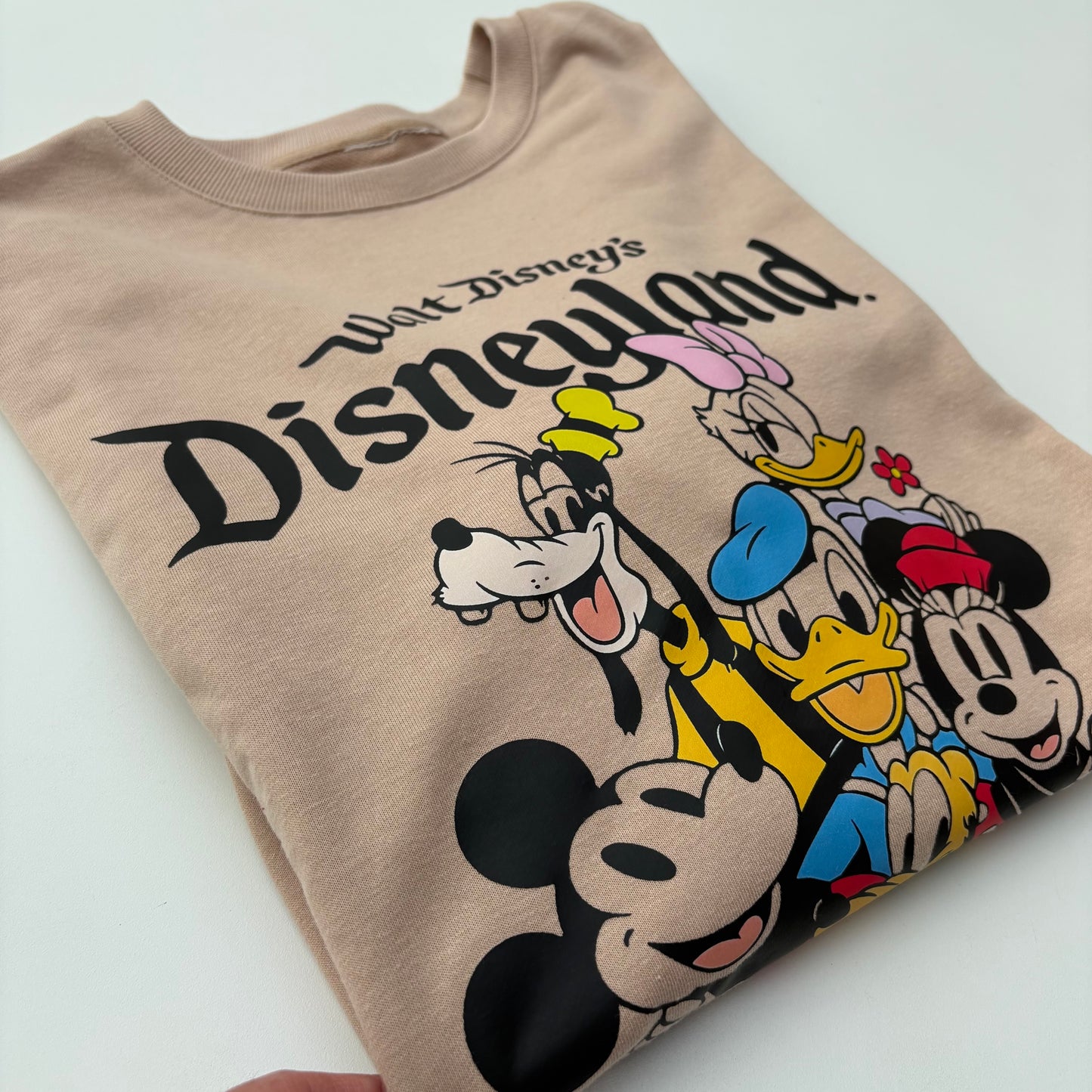 Felpa Disneyland caffellatte