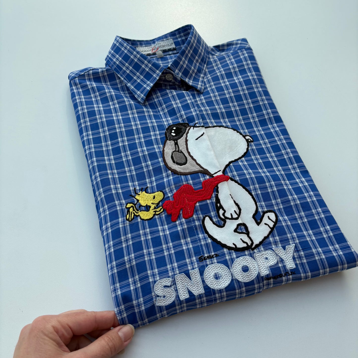 Snoopy a quadretti